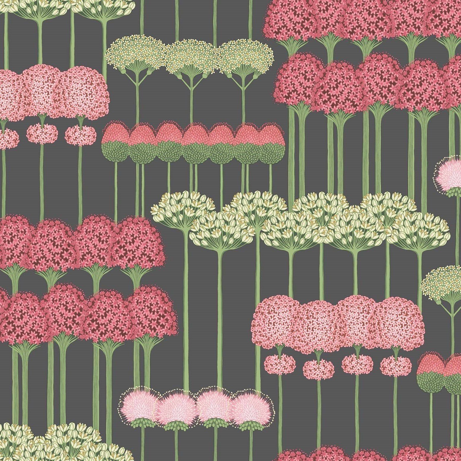 1553x1552 Allium