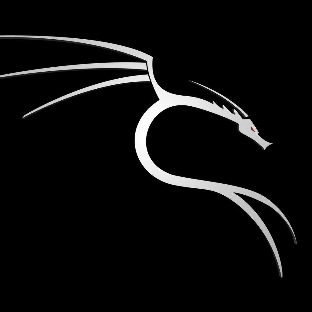 1024x1024 Kali Linux Phone Wallpaper: Free 4K & HD Downloads