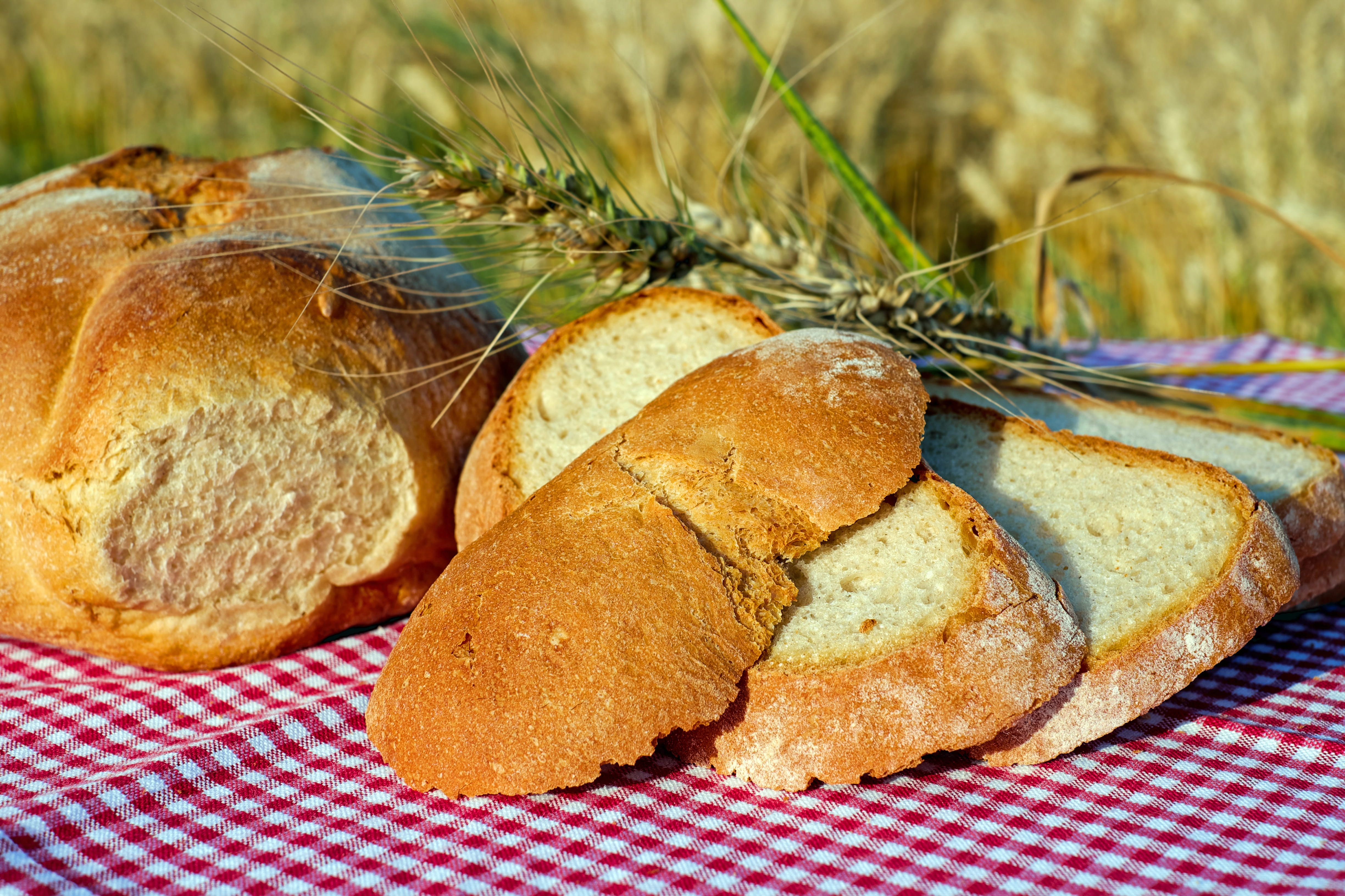 4896x3264 Royalty Free Photo: Baked Bread On Red Textile