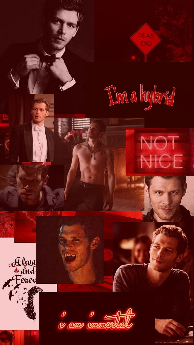 800x1422 Klaus And Elijah, Klaus and Elijah Mikaelson, HD phone wallpaper