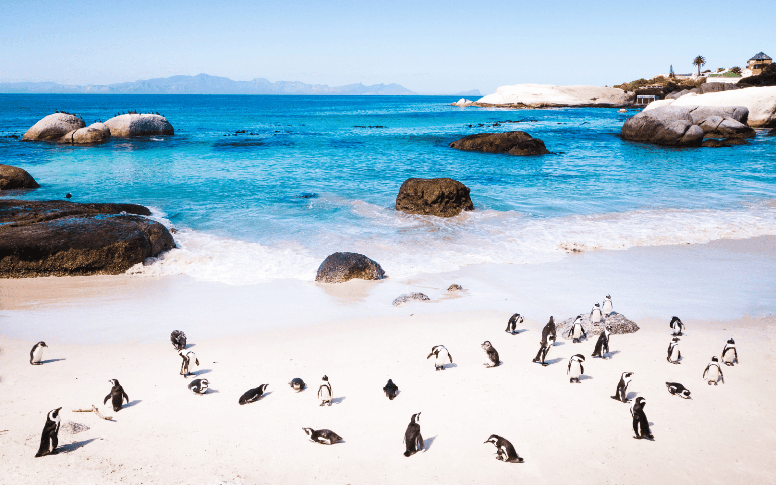 1536x960 Cape Town