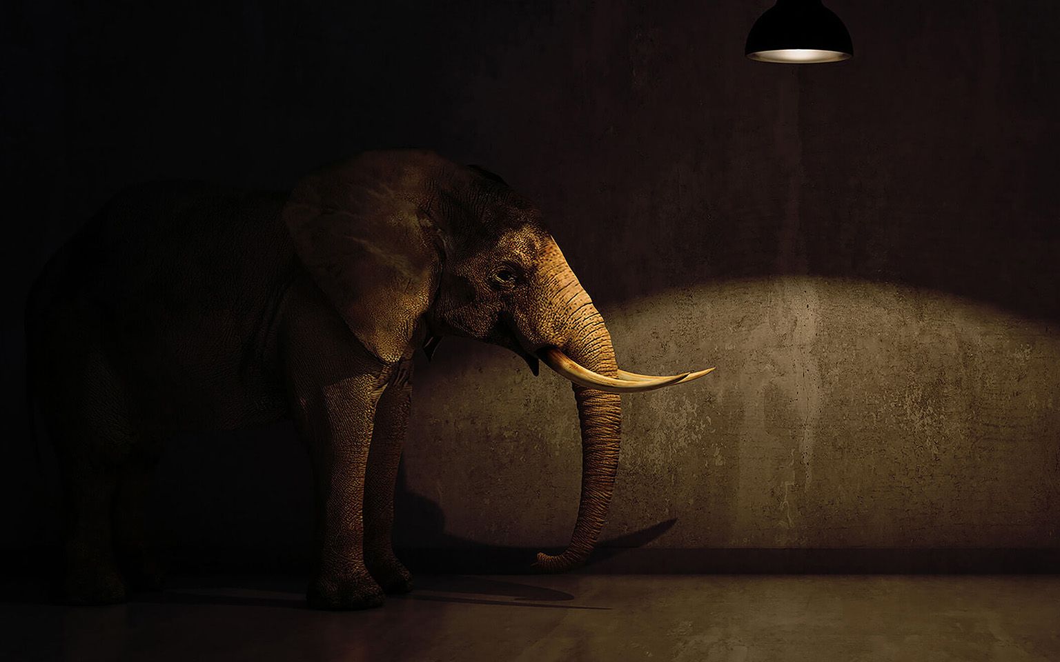1536x960 Elephants: the unseen power
