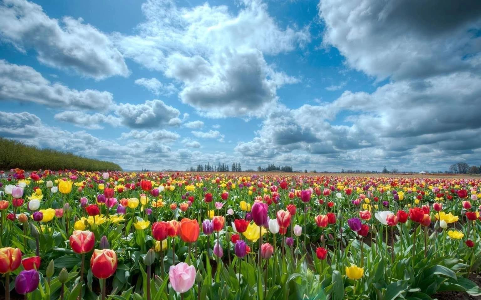 1536x960 Dutch Valley Farm
