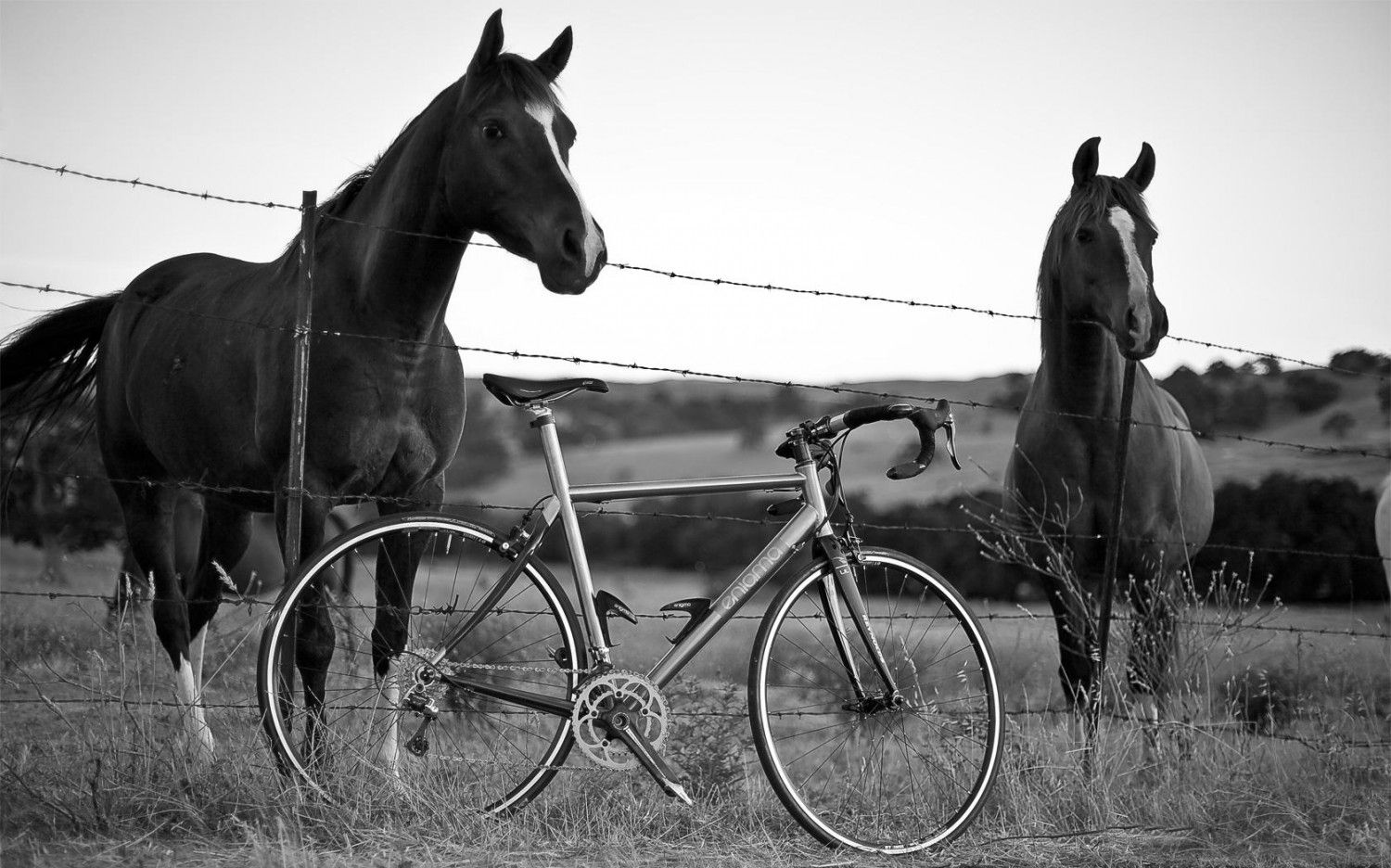 1500x936 Cinelli Strato Super Record CT 2010. Crash Course