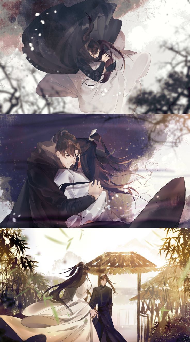 736x1323 Ranwan wallpaper. Erha novel illustration, Mo ran x chu wanning, Shizun fan