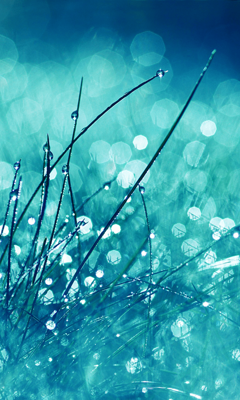 768x1280 Free download Blackberry z30 wallpaper Blackberry Themes
