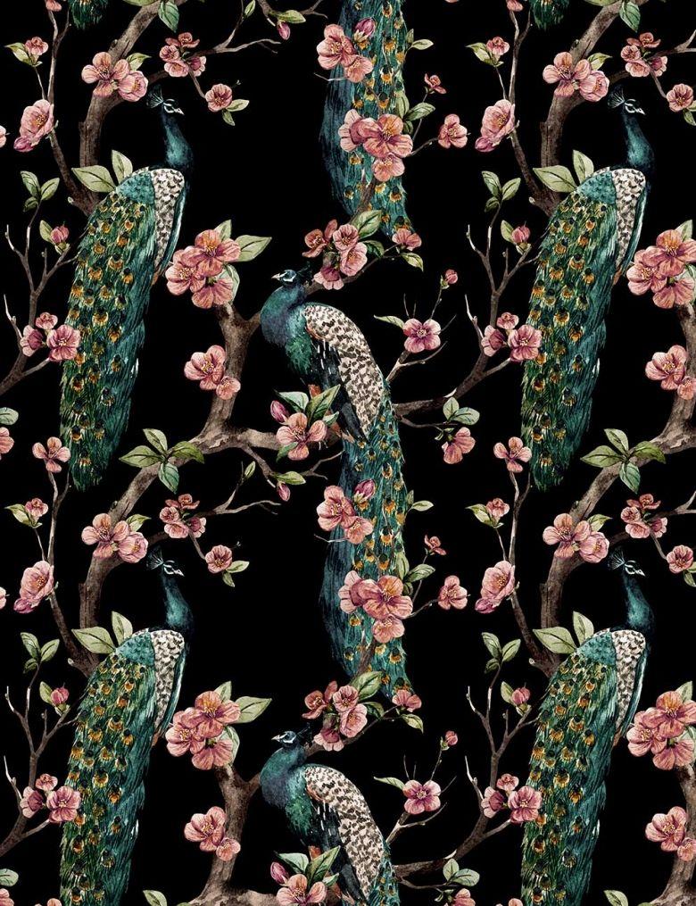 780x1015 Jungle Bird Wallpaper. FEATHR™
