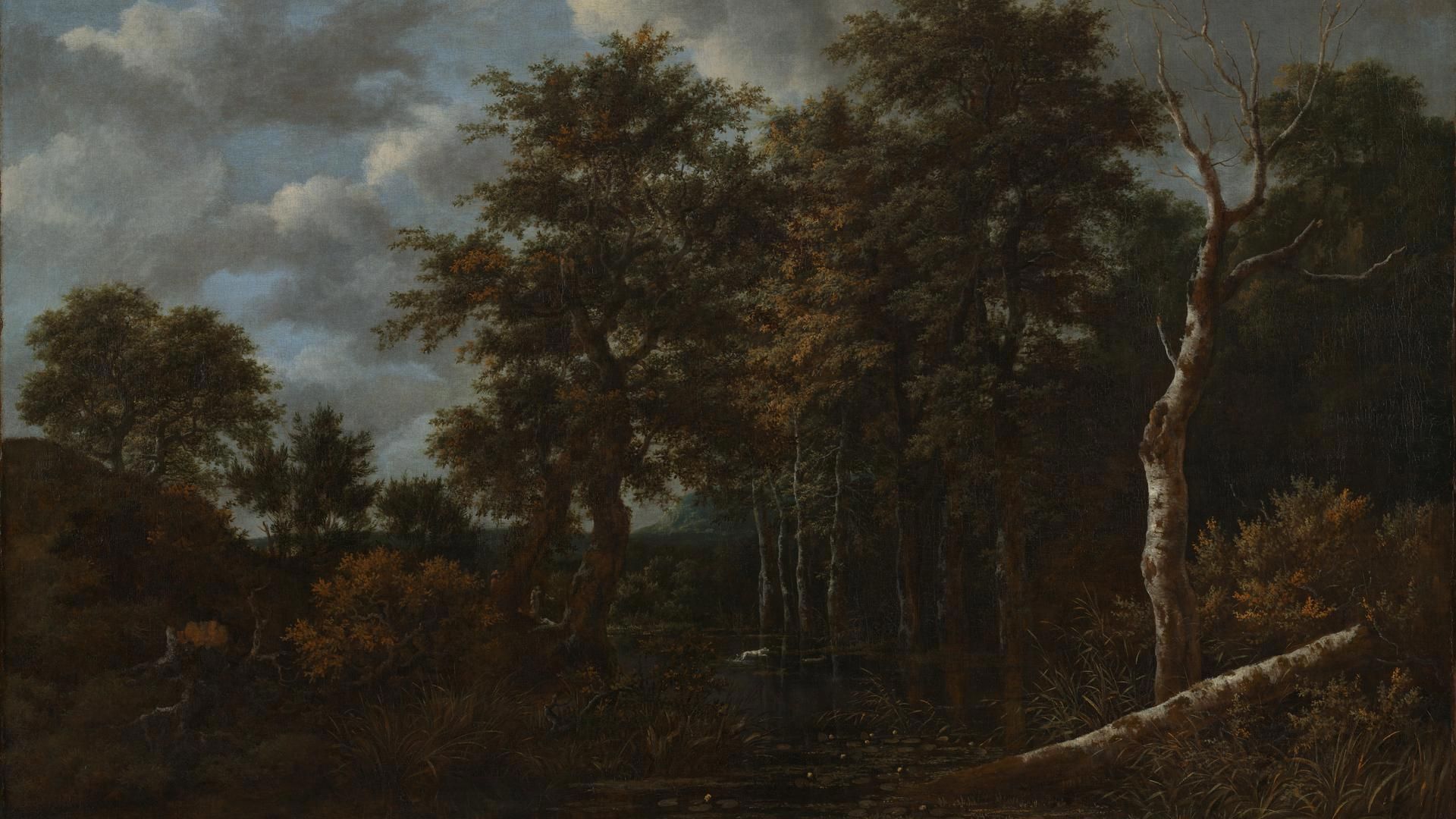 1920x1080 Jacob van Ruisdael. A Pool surrounded by Trees. NG854. National Gallery, London