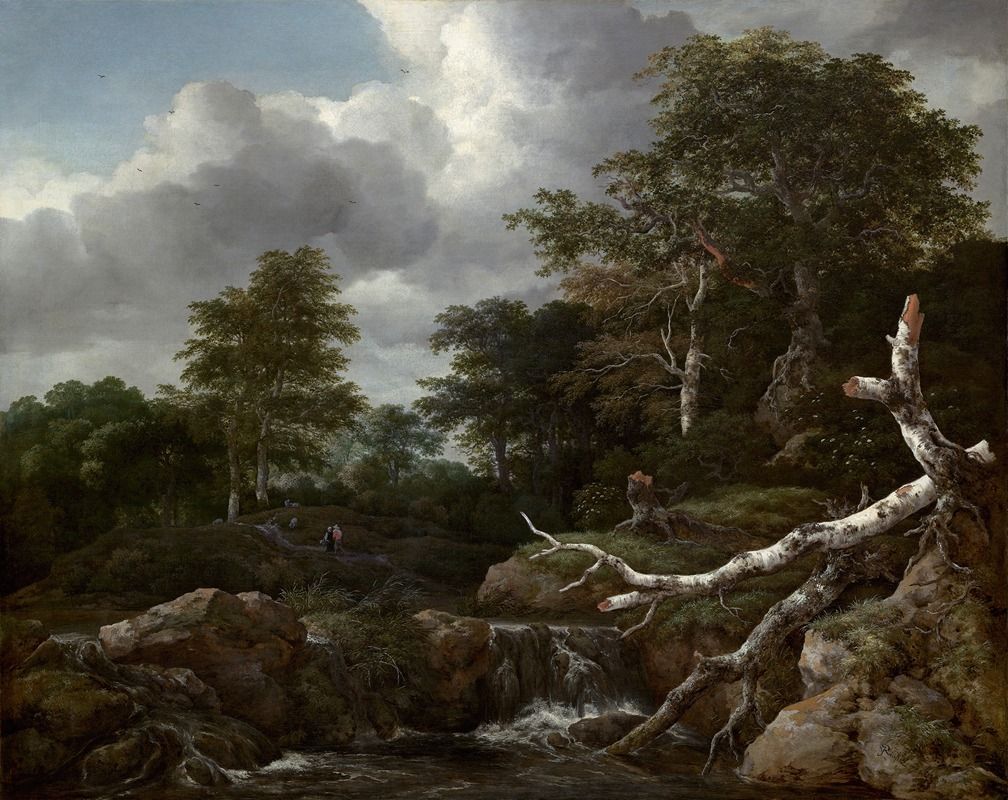 1008x800 Forest Scene