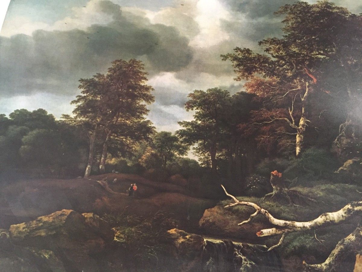 1200x900 Print Of Jacob Van Ruisdael Forest Scene 19X 24 7 8