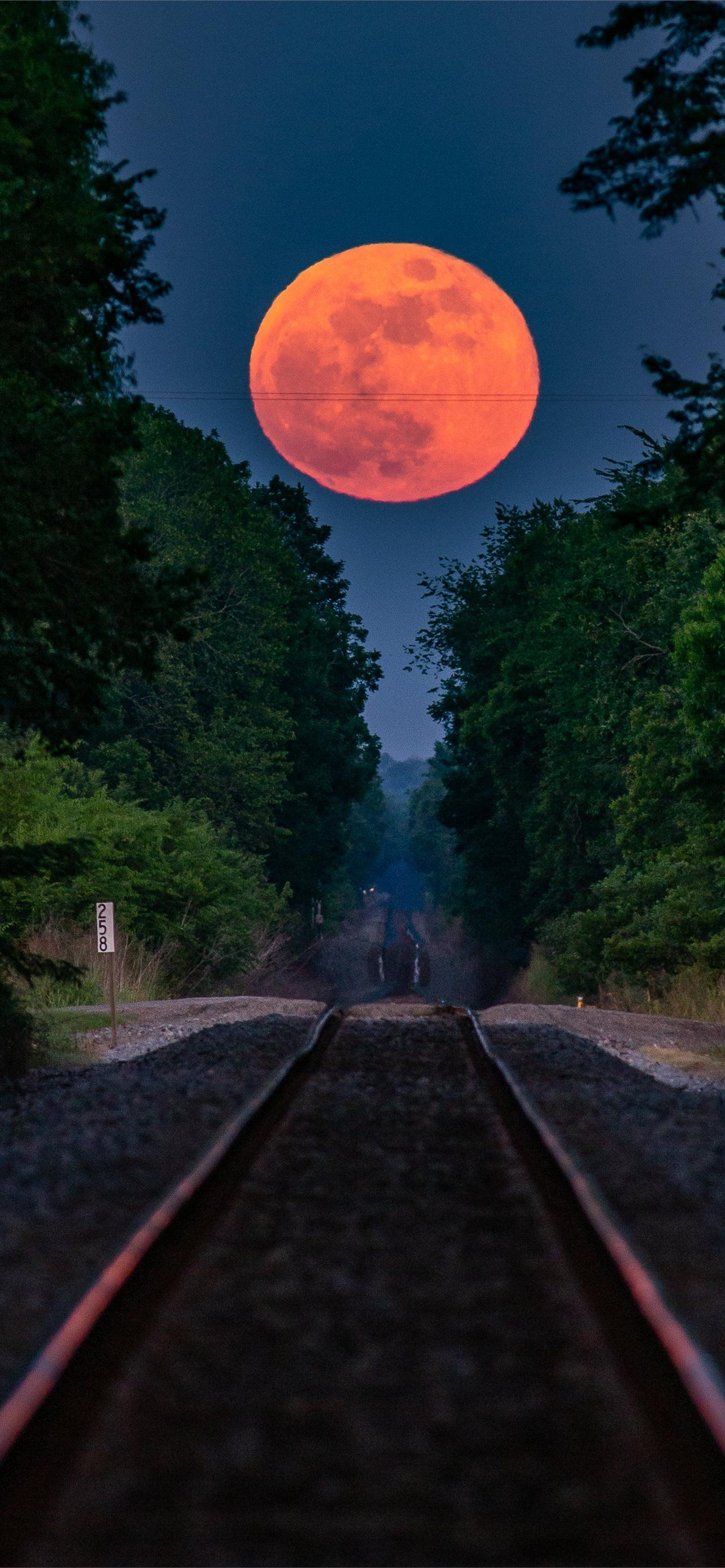 1284x2778 Best Strawberry moon iPhone HD Wallpaper