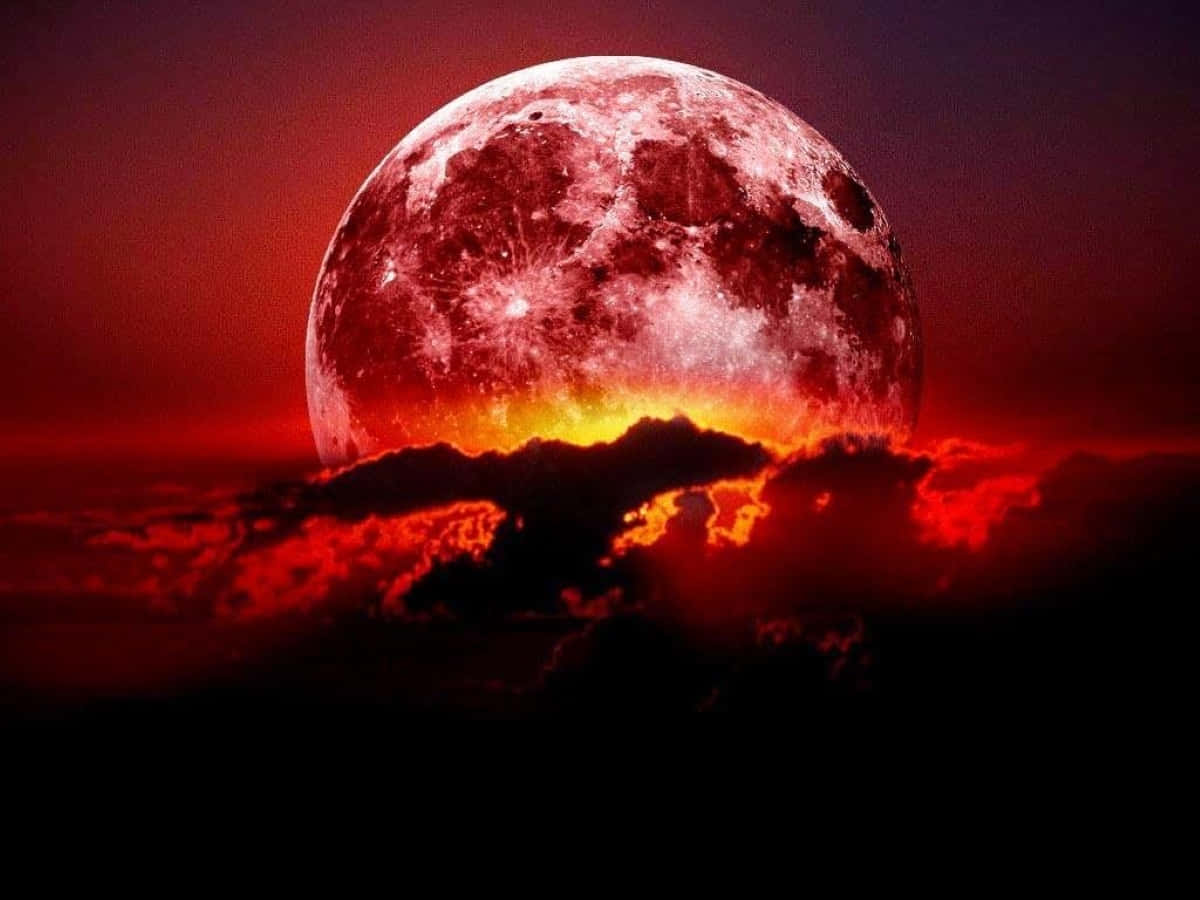 1200x900 Download Mesmerizing Strawberry Moon illuminating the night sky Wallpaper