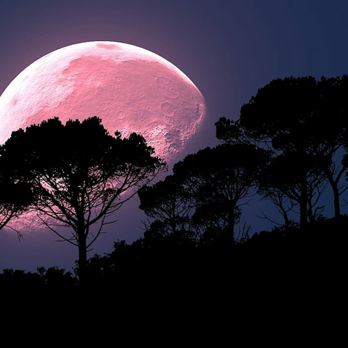 1200x1200 The Strawberry Moon Is Upon Us: Everything You Need to Know