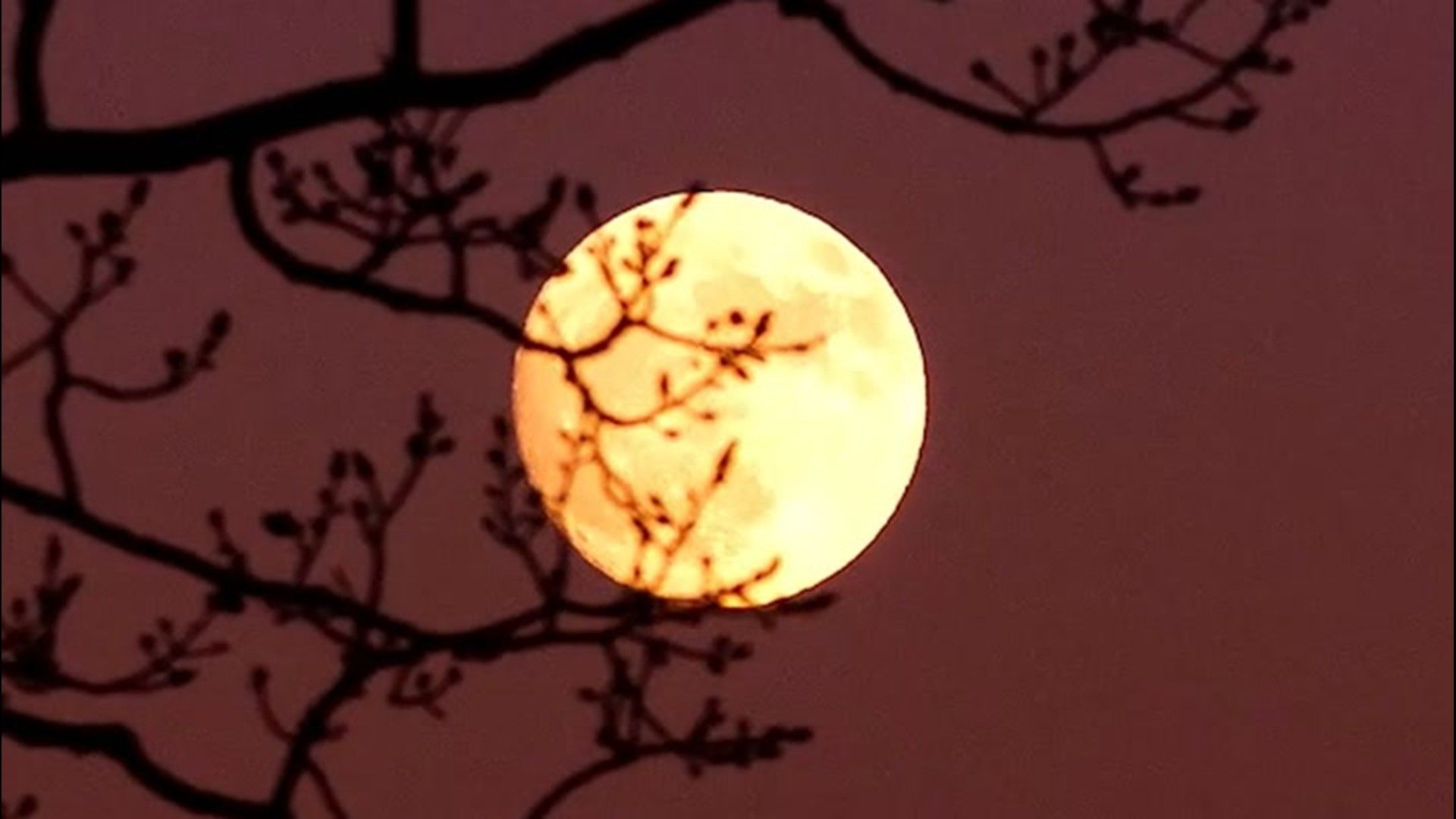 1920x1080 1st weekend of June kicks off with the Strawberry Moon