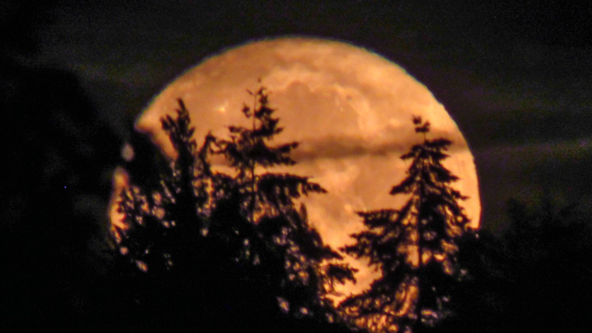 1920x1080 Photo to go: Strawberry moon in June