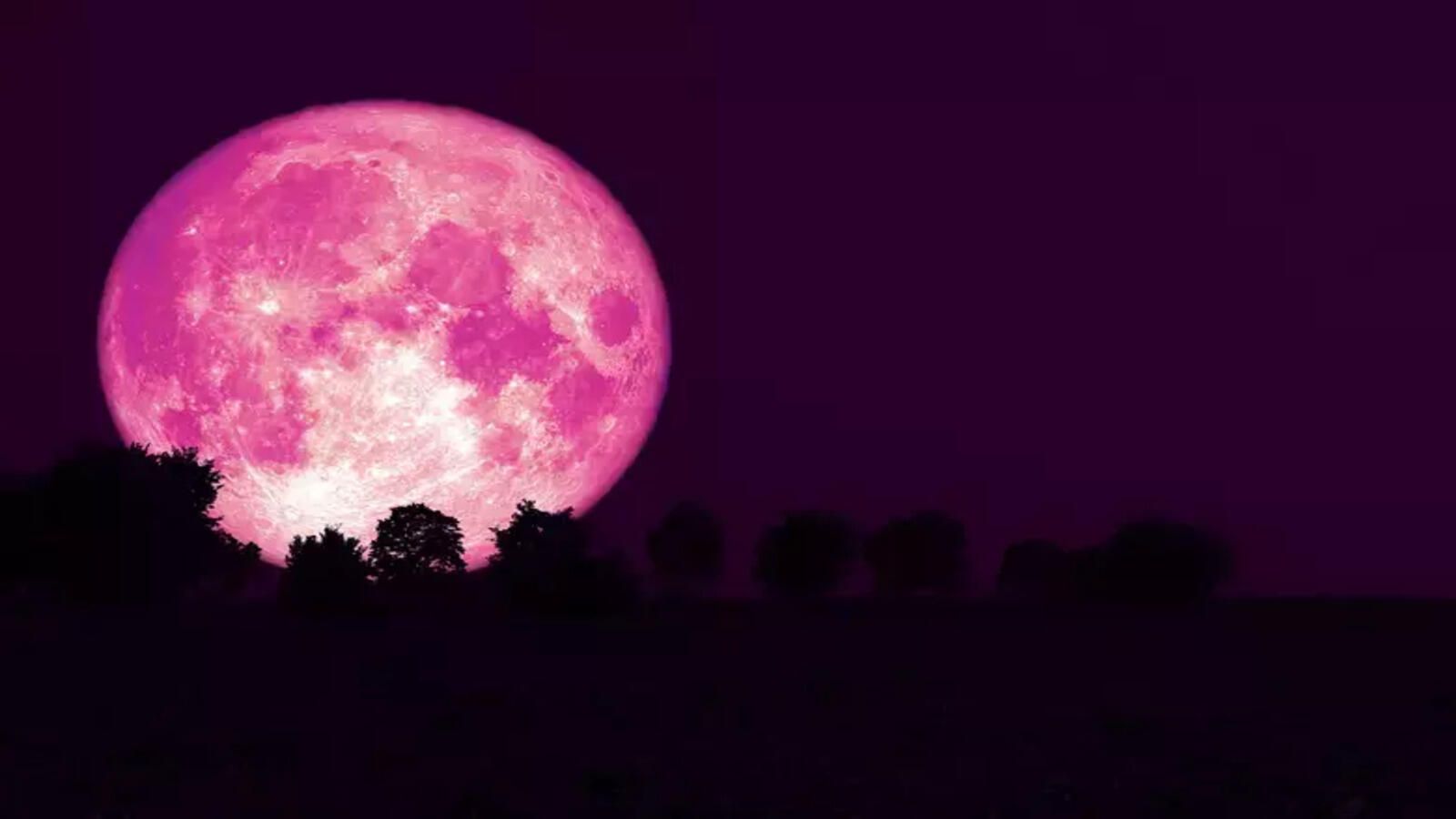 1600x900 Strawberry Moon 2024: Strawberry Moon 2024: When and how to watch the June full moon Economic Times