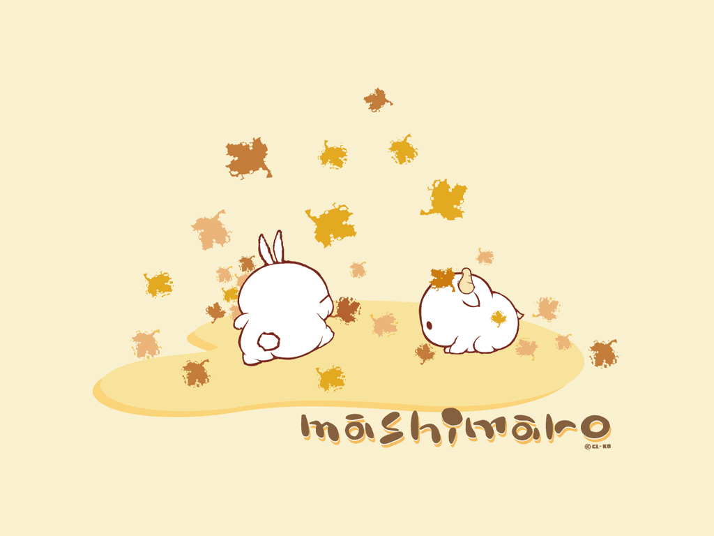 1024x768 Mashimaro ideas. korean stationery, cute, wallpaper