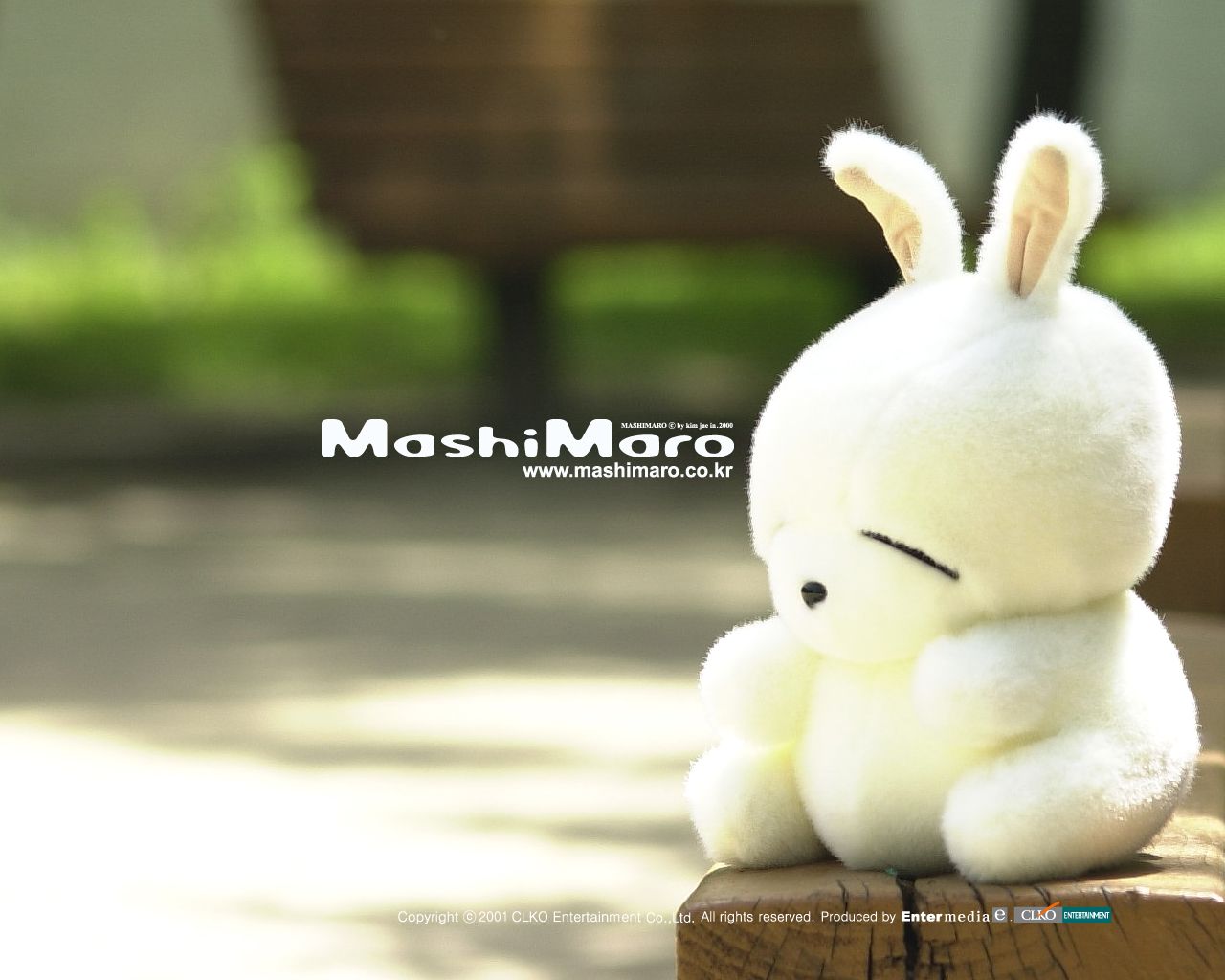 1280x1024 MashiMaro Picture and Image: Free HD Downloads