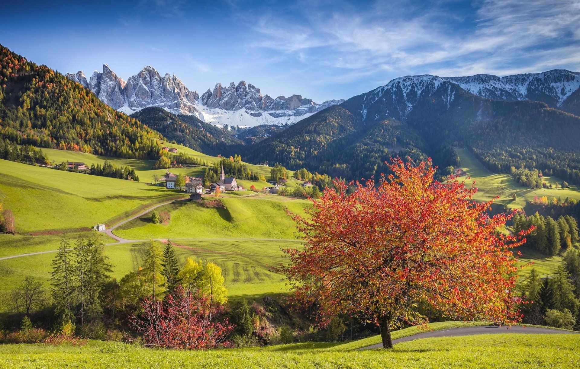 1920x1223 Download Mountain Fall Tree Alps Trentino Italy Photography Landscape HD Wallpaperx1274