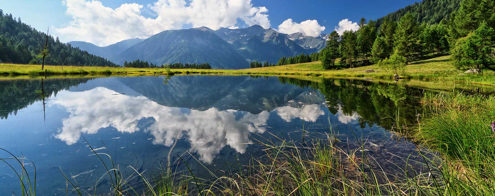 1600x636 The Star Hotels And Resorts In Trentino