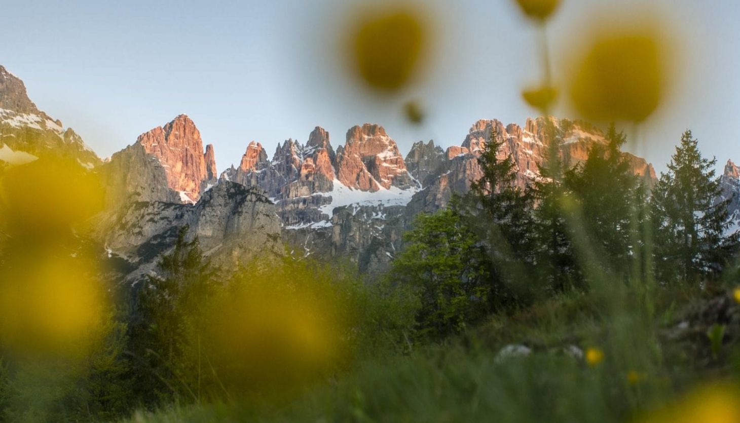 1460x835 Spring vacation Trentino, Brenta Dolomites