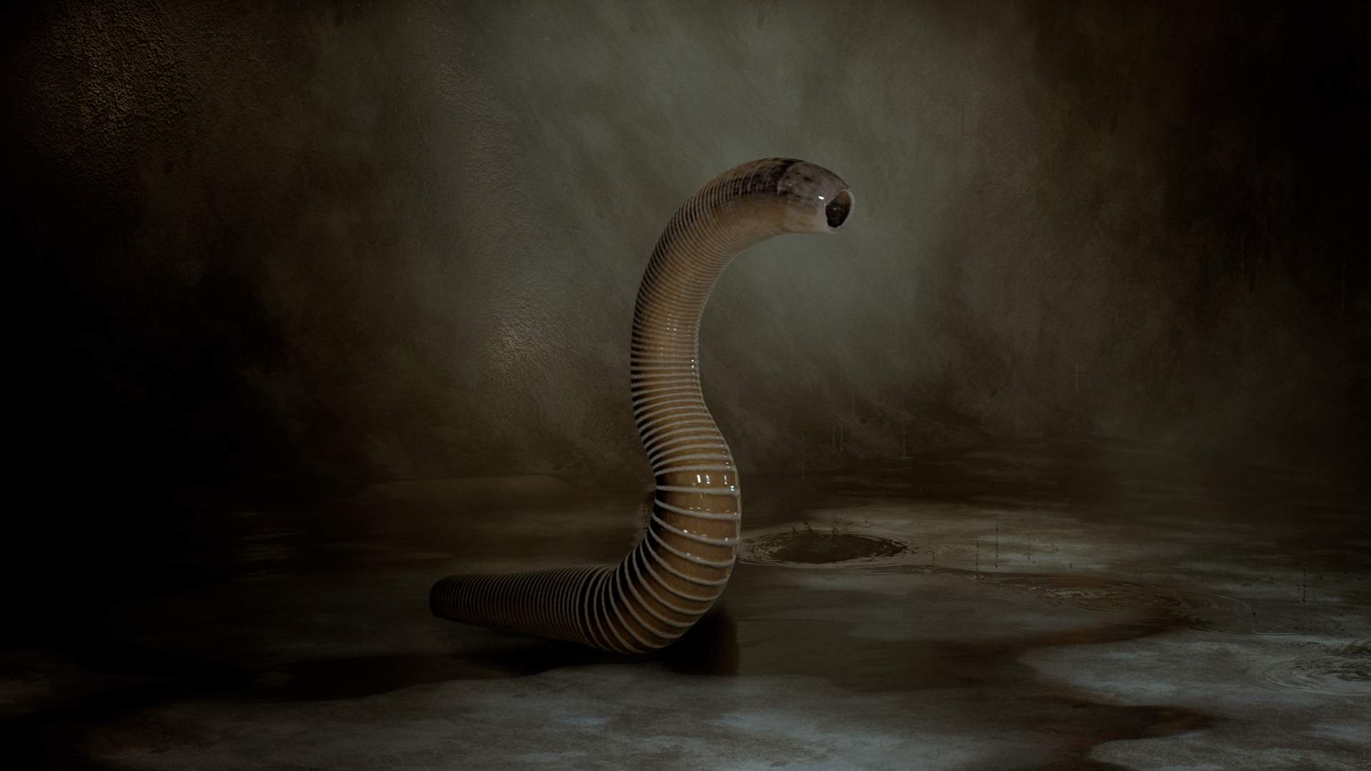1920x1080 Leech Wallpaper