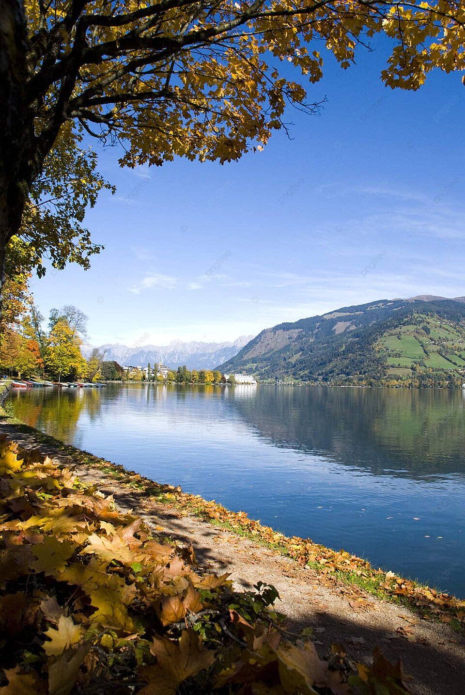 960x1434 Zell Am See Landscape Zell Am See Tree Photo Background Wallpaper Image For Free Download