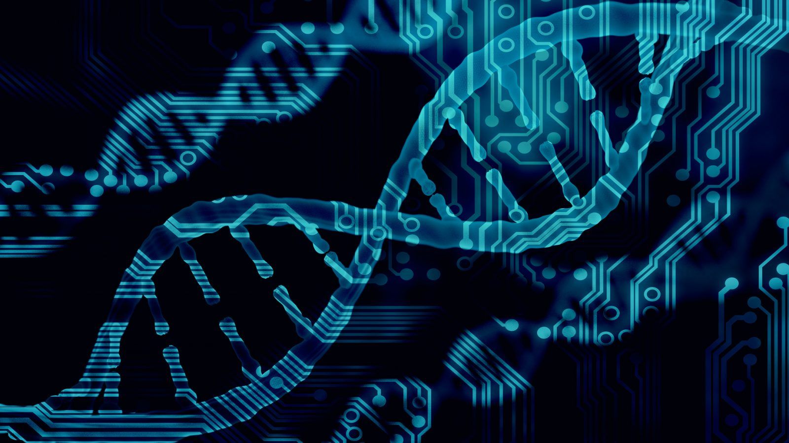 1600x900 Biomedical Engineering Wallpaper