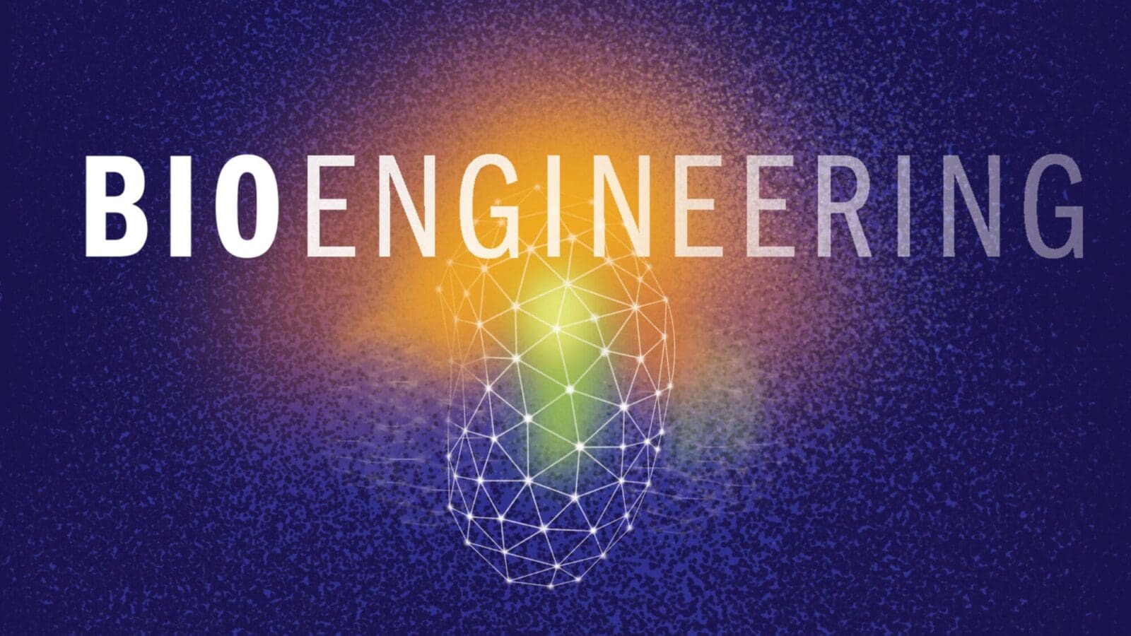 1600x900 Princeton Engineering: Unlocking mysteries, enabling impact