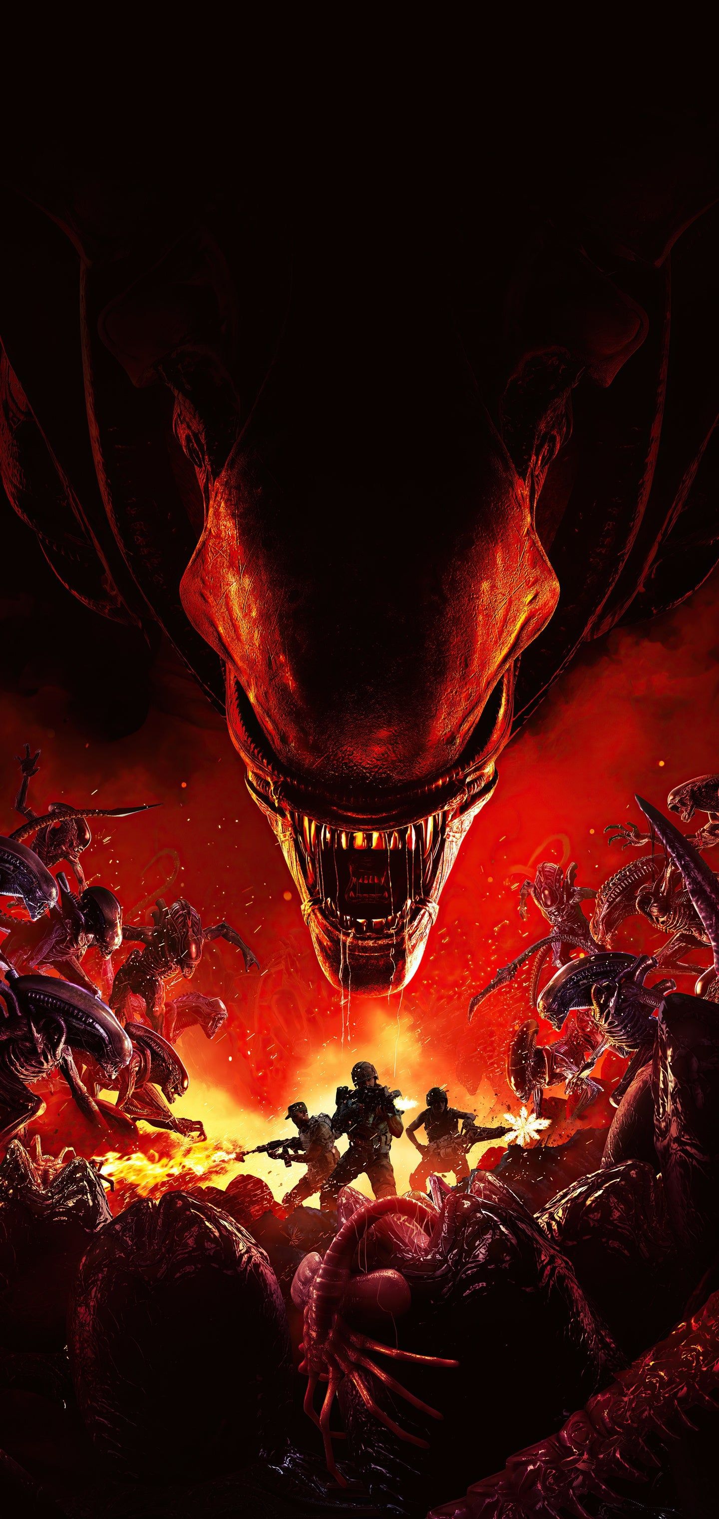 1440x3040 Wallpaper Aliens Fireteam Elite Poster, Aliens Fireteam Elite, Alien Isolation, Aliens Colonial Marines, Third Person Shooter, Background Free Image