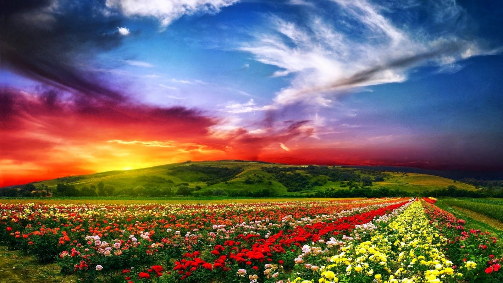 1600x900 