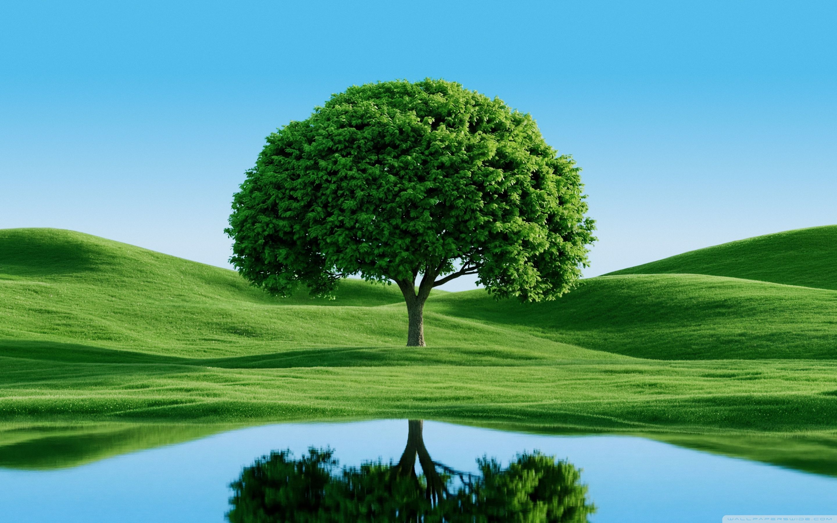 2880x1800 2880x1800 Widescreen 16:10 High Quality Desktop Wallpaper for UltraHD TV, Smartphone, Tablet