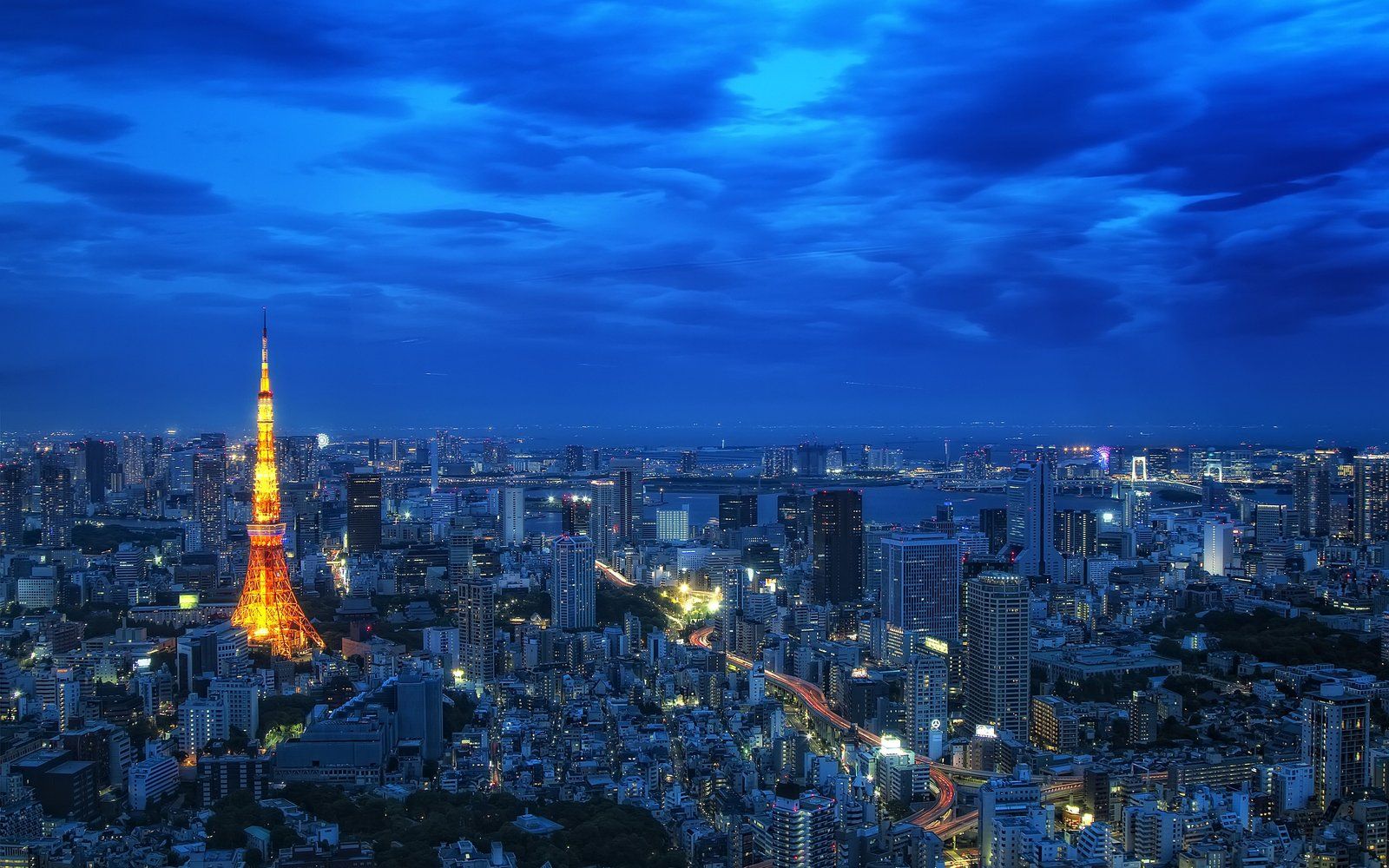 1600x1000 Night View Tokyo Tower Japan 1800x2880 :