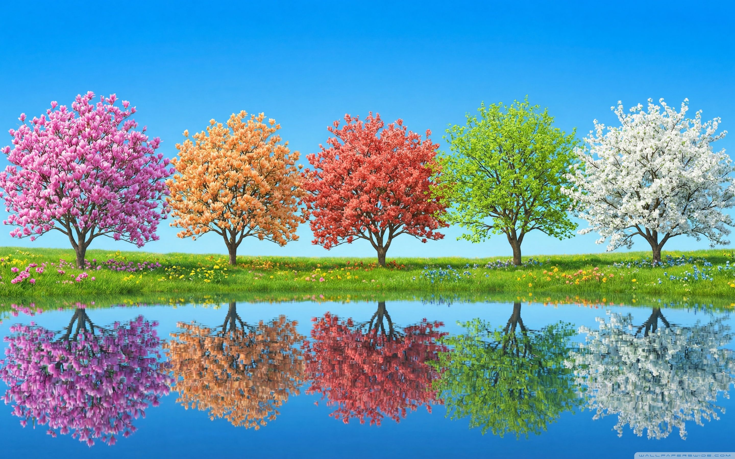2880x1800 2880x1800 Widescreen 16:10 High Quality Desktop Wallpaper for UltraHD TV, Smartphone, Tablet