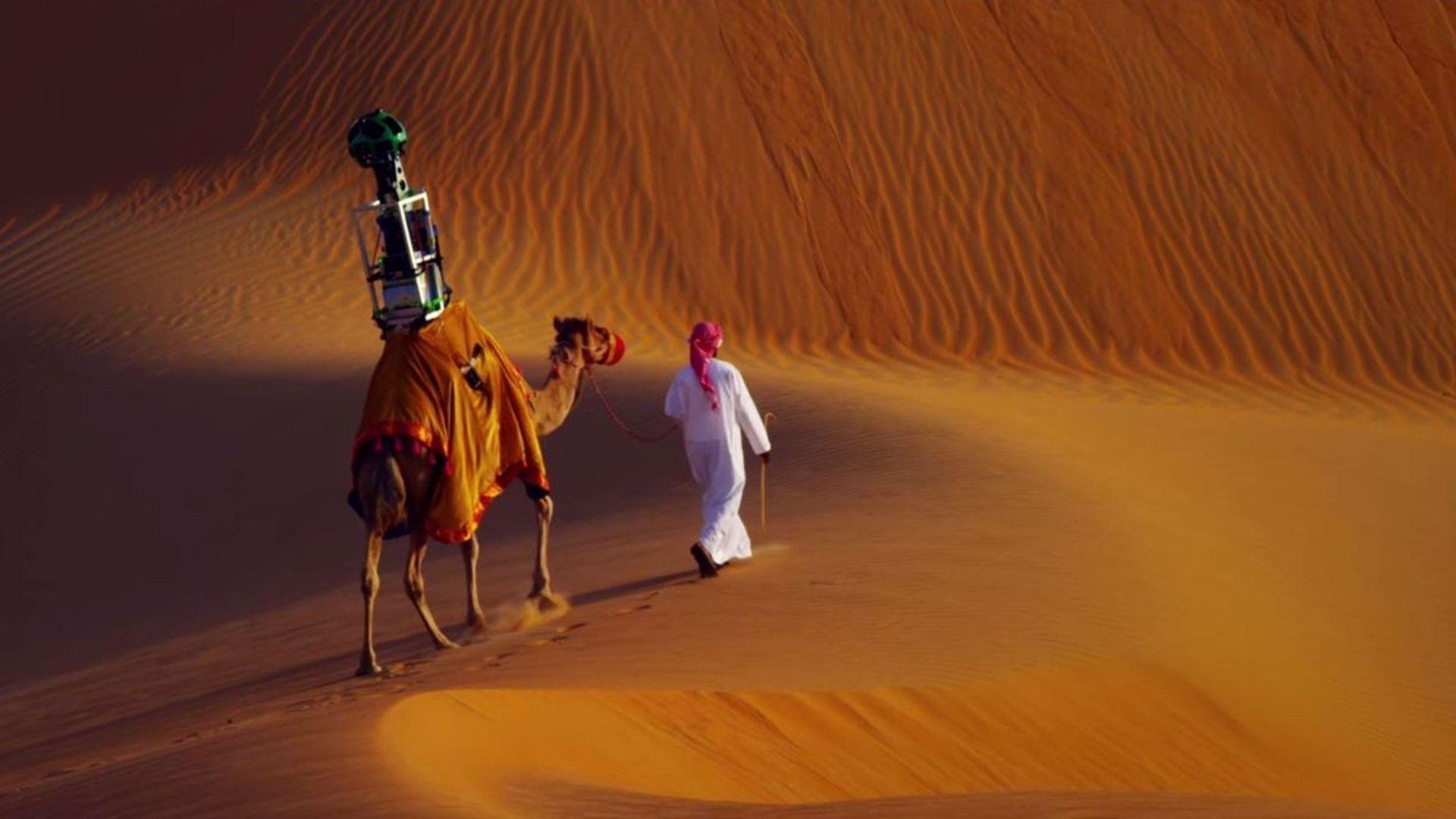 1920x1080 camels, Desert, Google, Google Street View, Camera, Liwa Desert