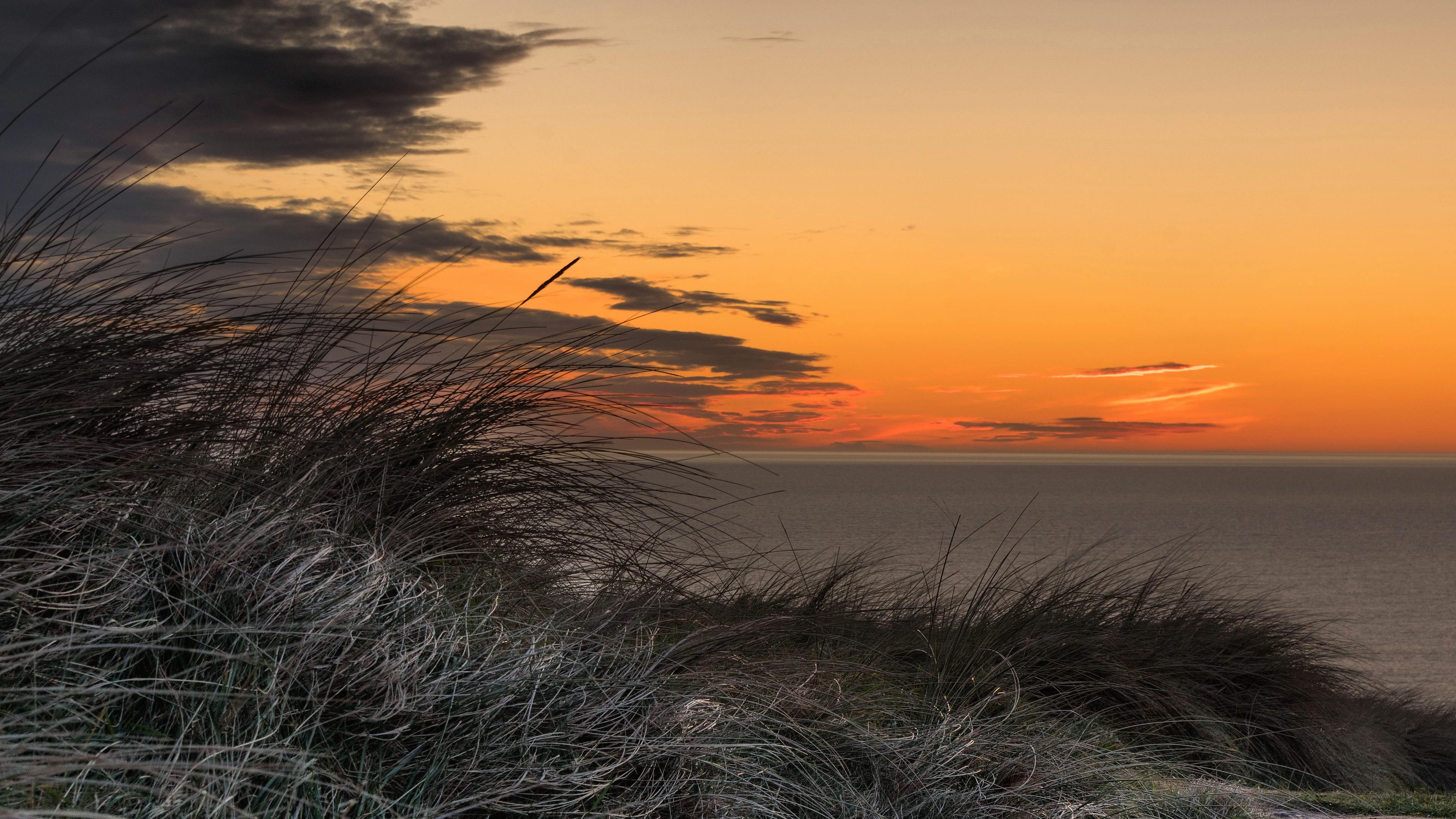 3840x2160 Wallpaper 4k Grass Golden Sunset 4k 4k Wallpaper, Grass
