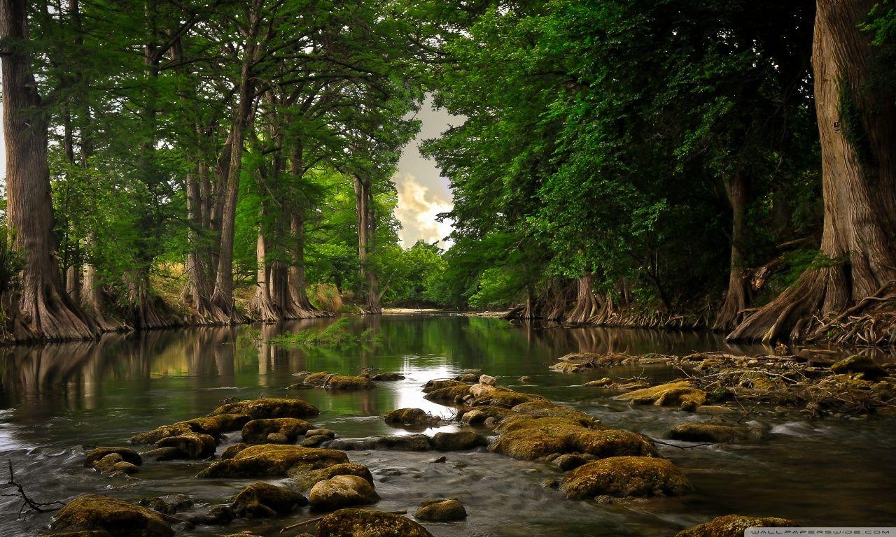 1280x768 River Desktop Wallpaper