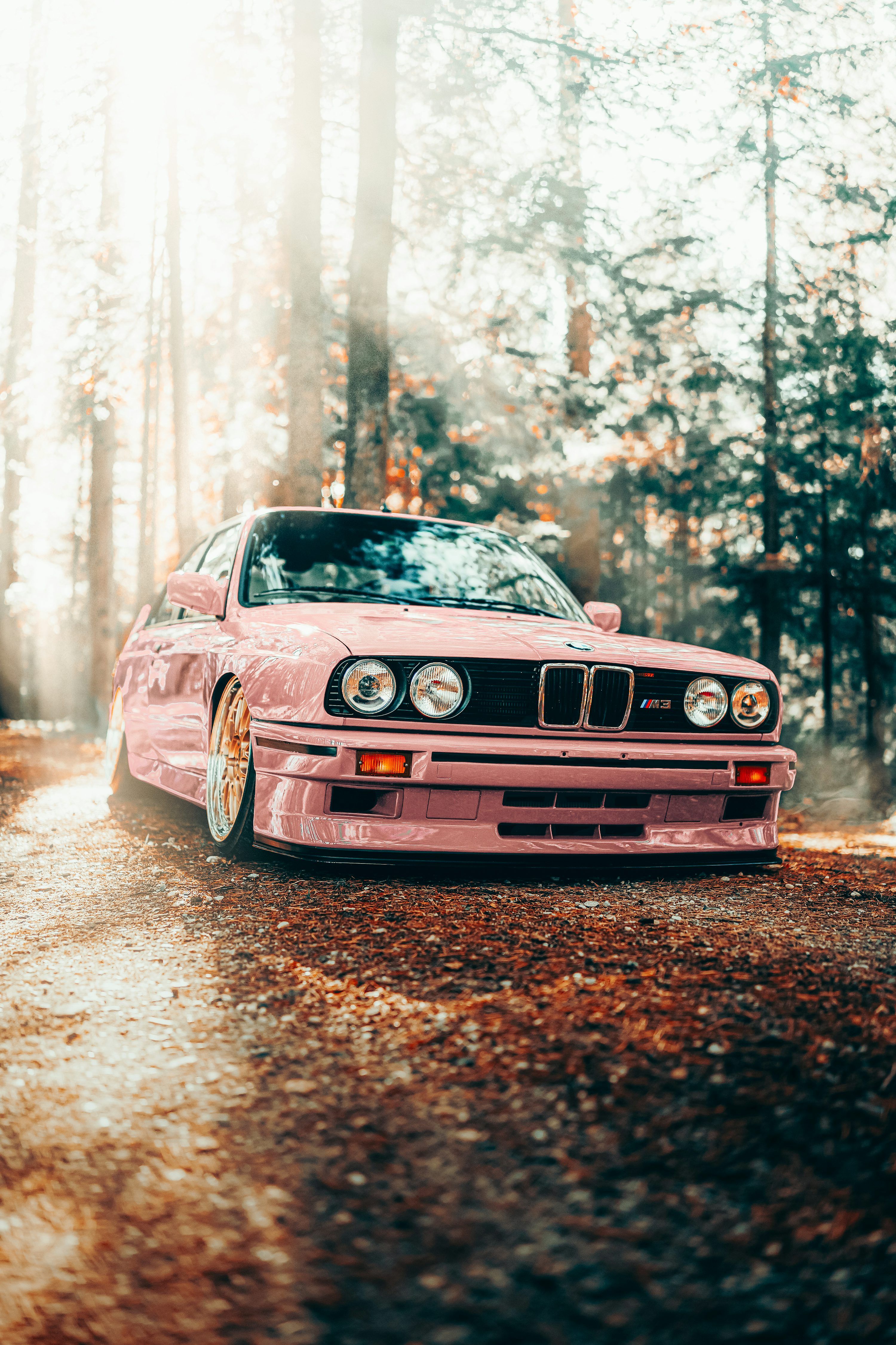 3000x4500 Bmw E30 Picture. Download Free Image