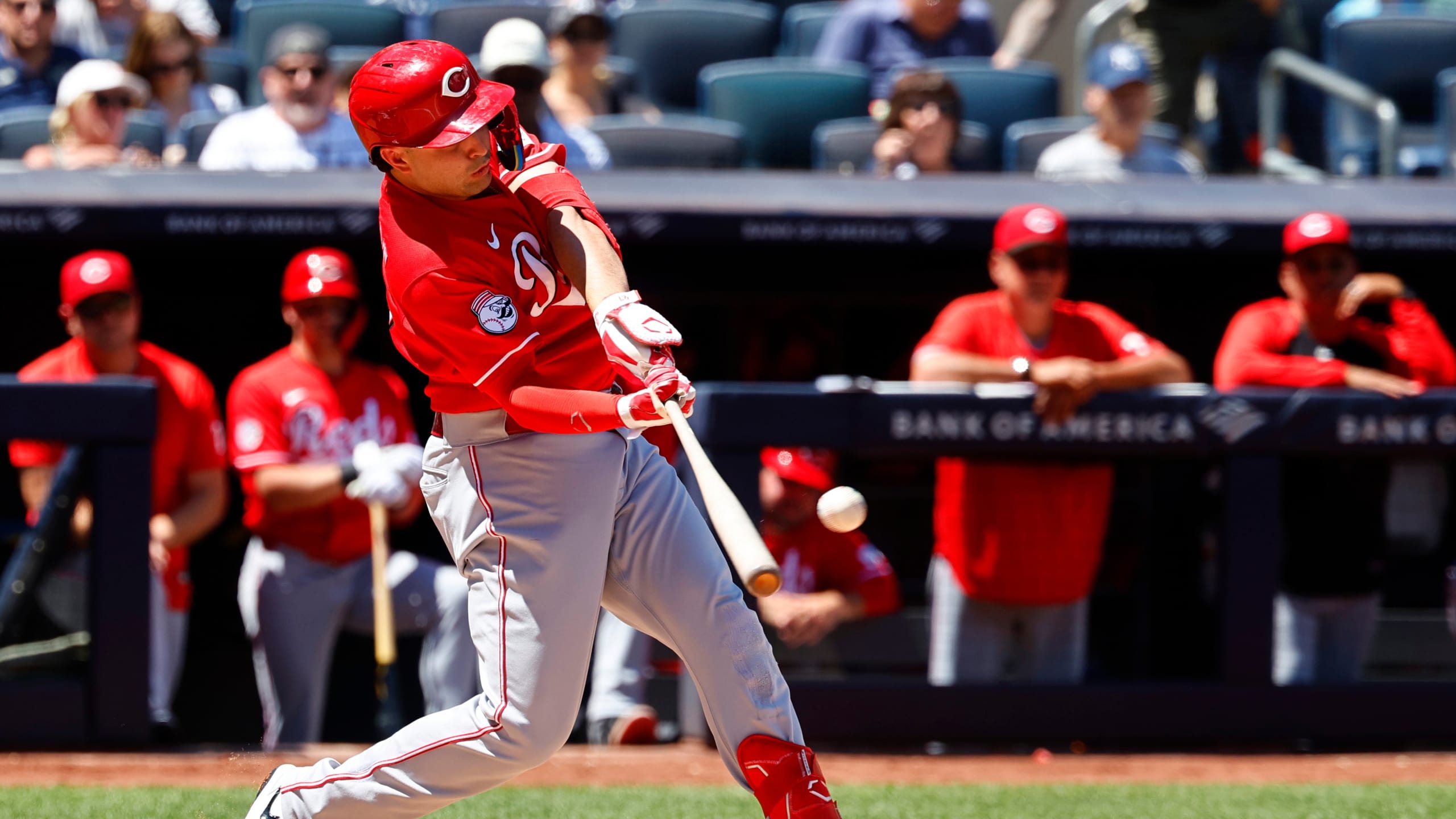 2560x1440 MLB News & Moments: Harper and Schwarber Tag Team Mets