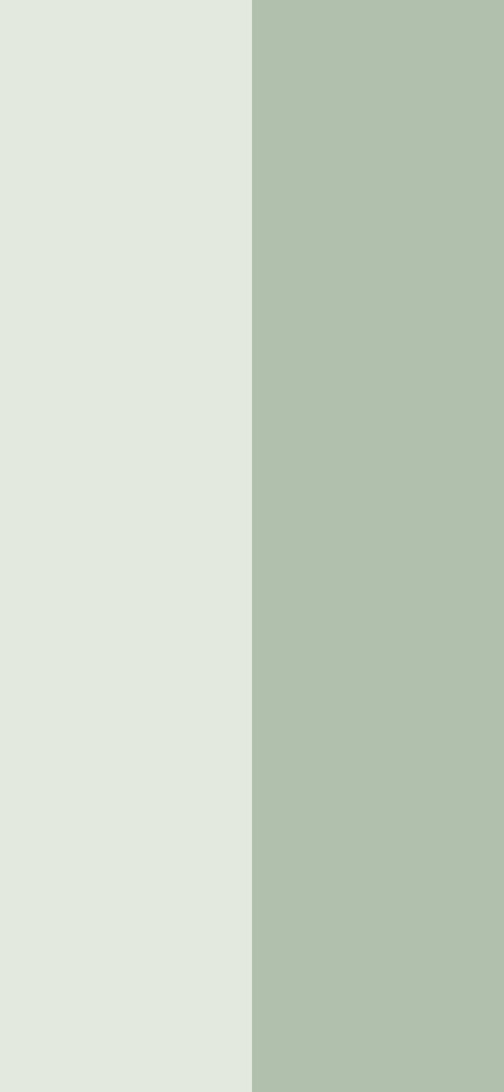 736x1592 Duo iPhone wallpaper with split colors