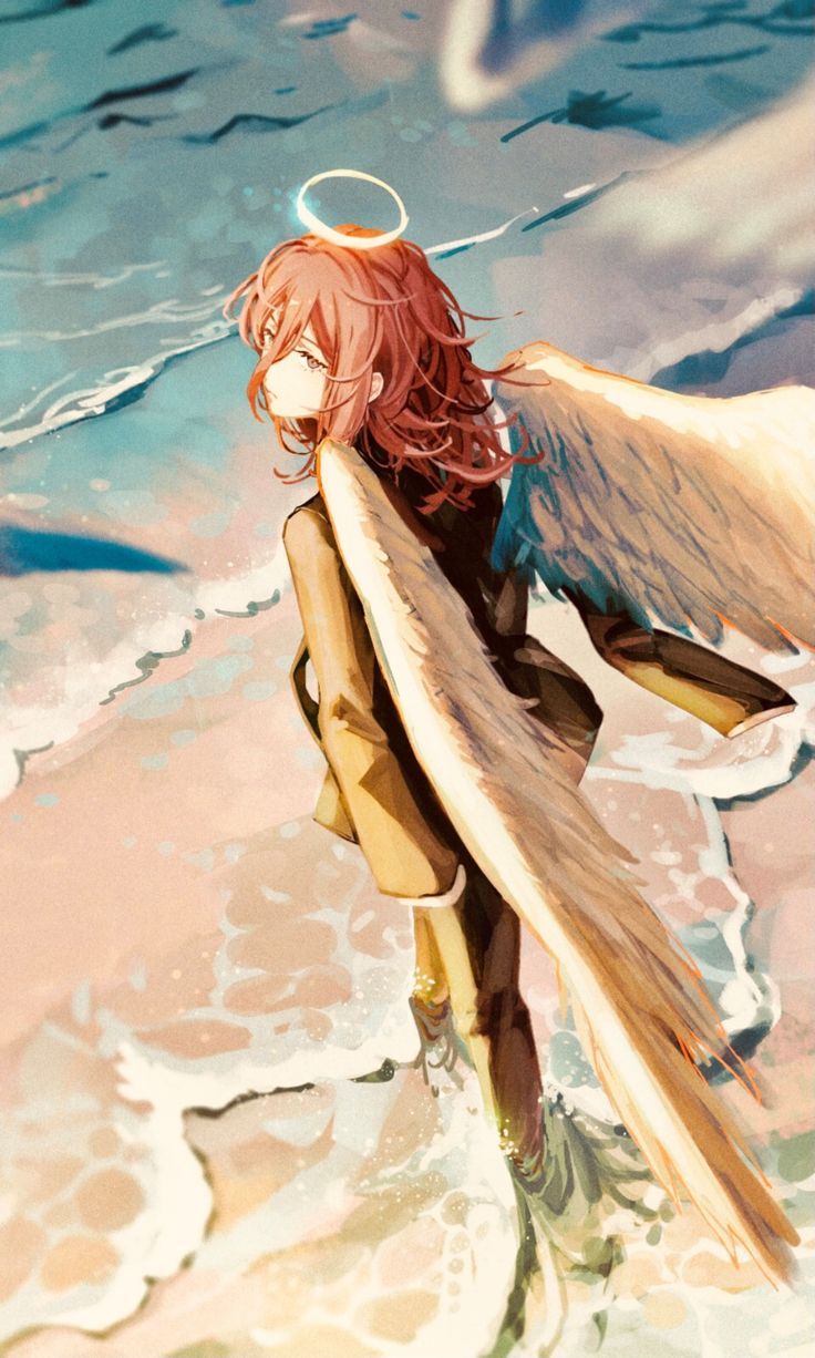 736x1226 