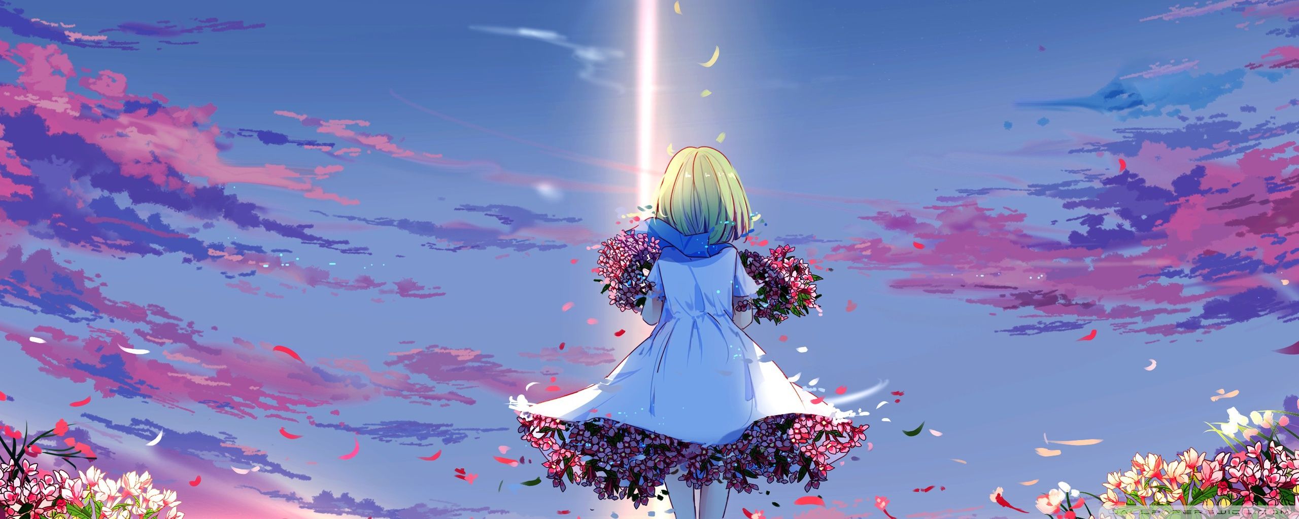2560x1024 Anime Girl 4K UHD Wallpaper for UltraHD Desktop and TV : Widescreen and UltraWide Display : Dual Monitor : Smartphone and Tablet Devices