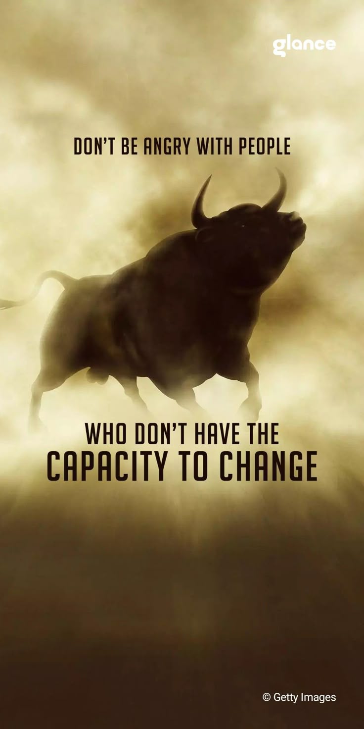 736x1472 Inspirational Bull Quote: Don't Be Angry. Stock market motivational wallpaper, Bullish quotes, Bull quotes
