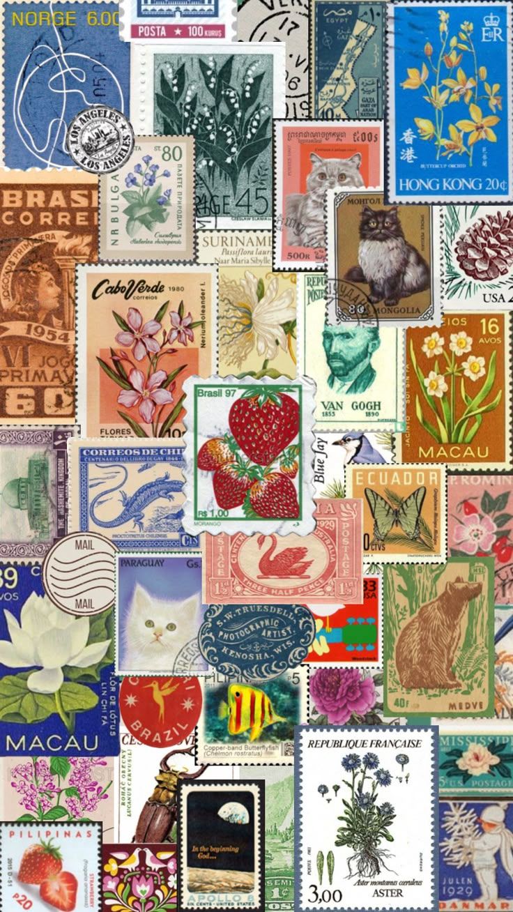 736x1308 stamps #stamp #letters #letter #brazil #aesthetic #wallpaper #lockscreen #homescreen #cats #vintage #retro