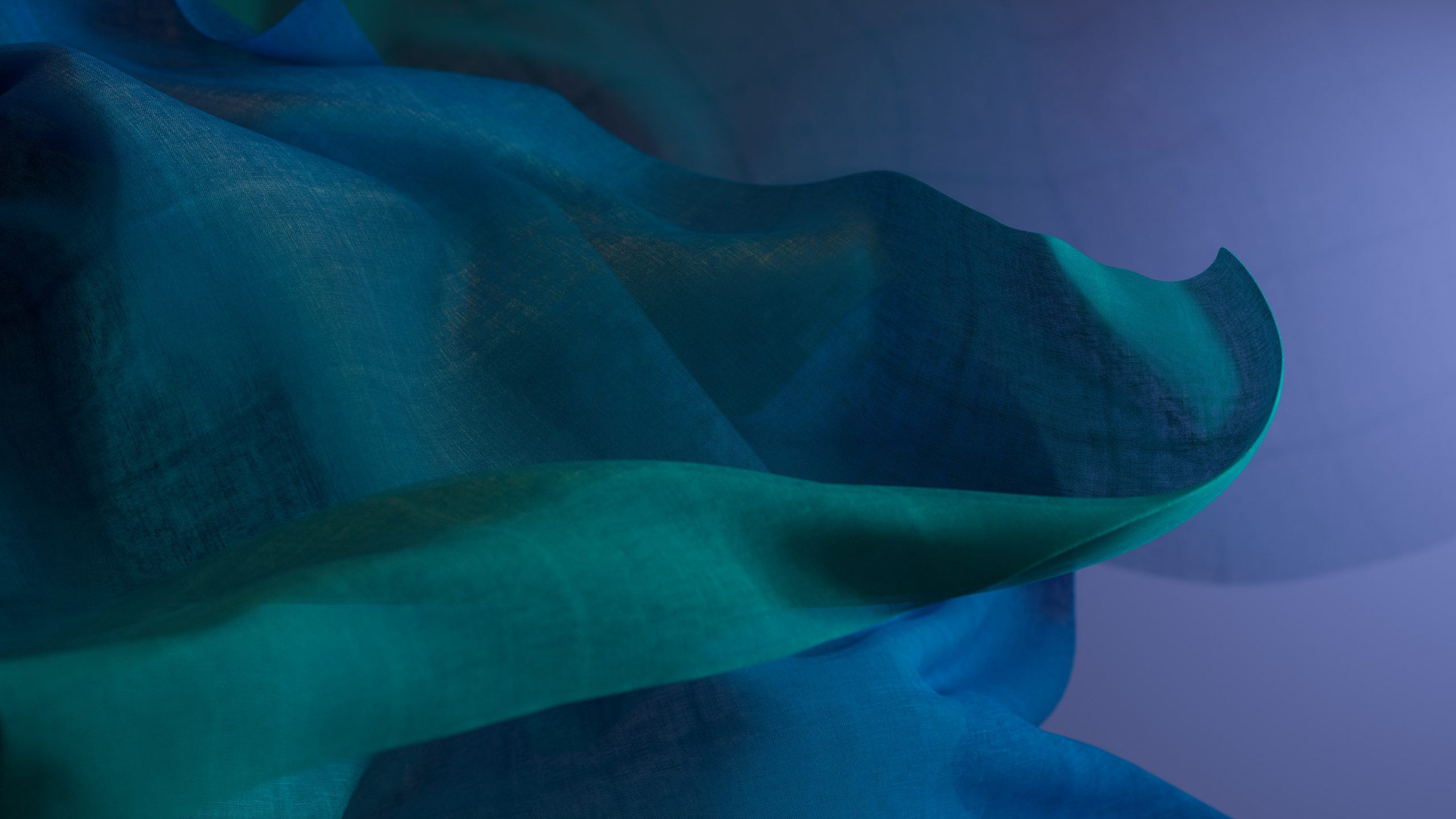 2560x1440 Enjoy 32 Fancy Windows 11 Default Wallpaper X Daily
