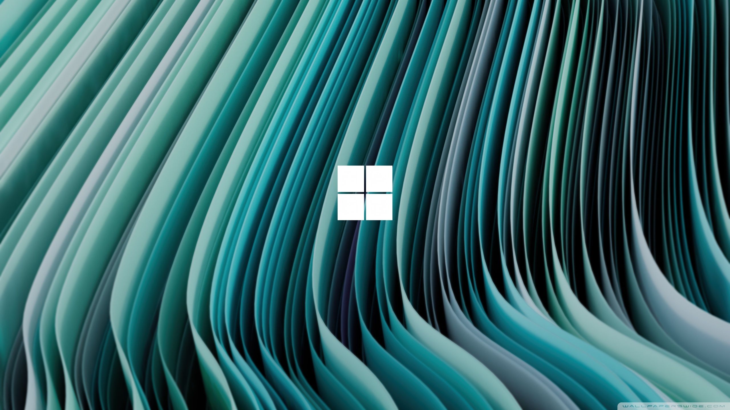 2560x1440 Windows 11 Files Background 4K UHD Wallpaper for UltraHD Desktop and TV : Widescreen and UltraWide Display : Dual Monitor : Smartphone and Tablet Devices
