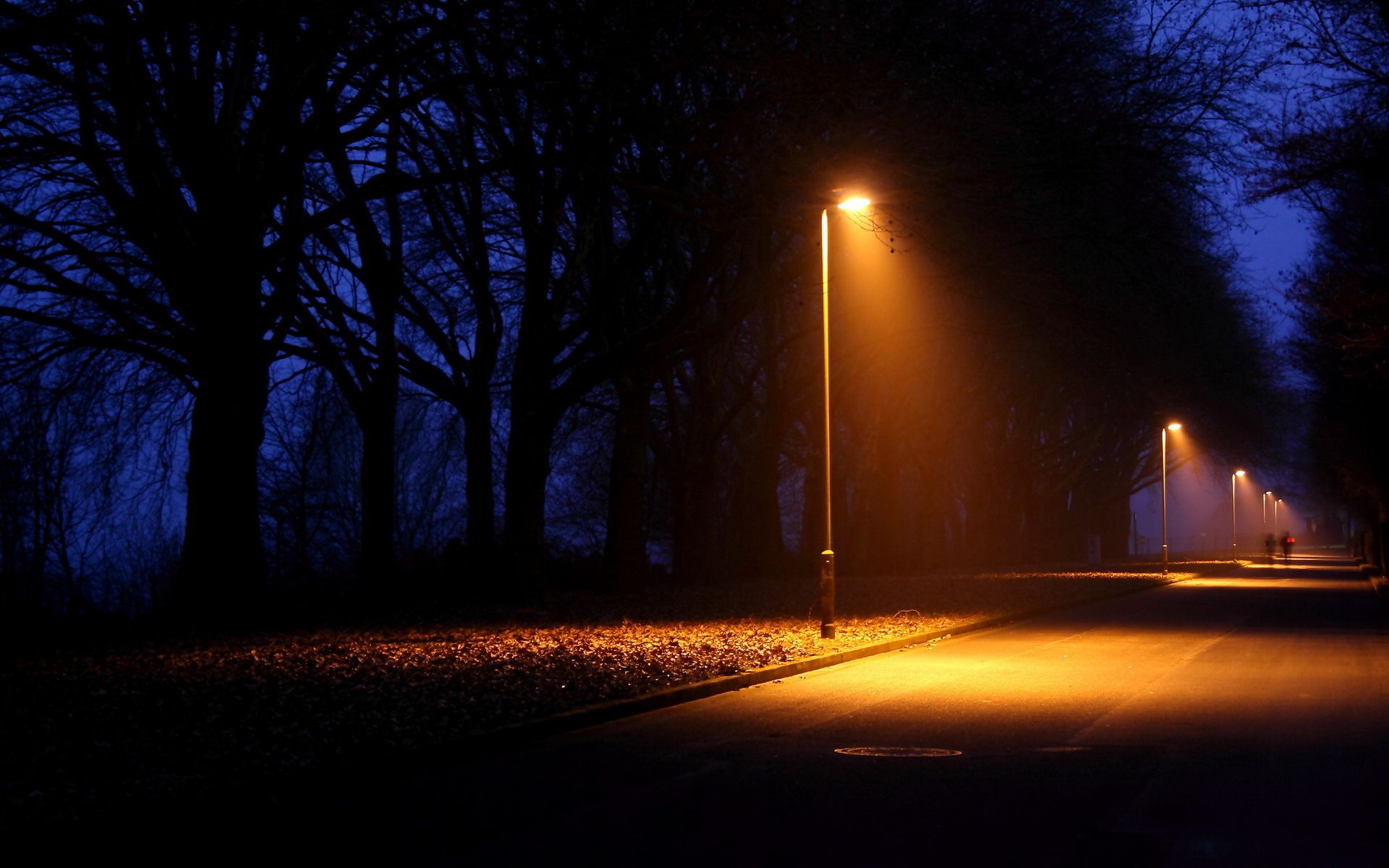 1920x1200 nature, Night, Lights, Lamps, Lamp post, Trees, Lightbeams, Roads, People, Alone Wallpaper HD / Desktop and Mobile Background
