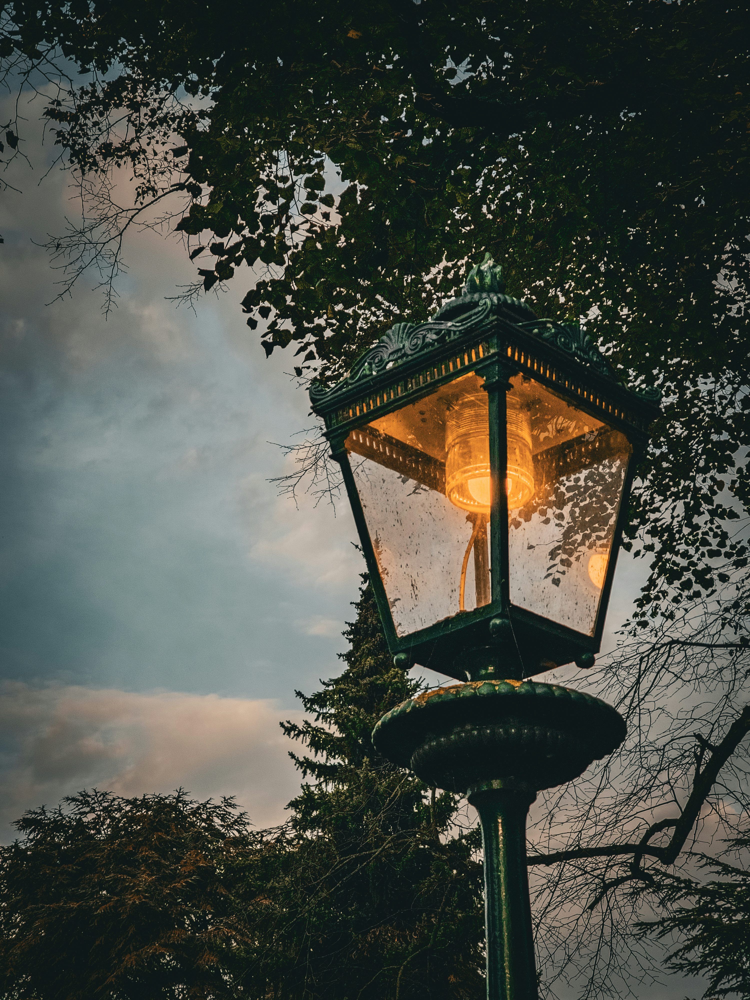 3000x4000 A lamp post with a tree in the background photo