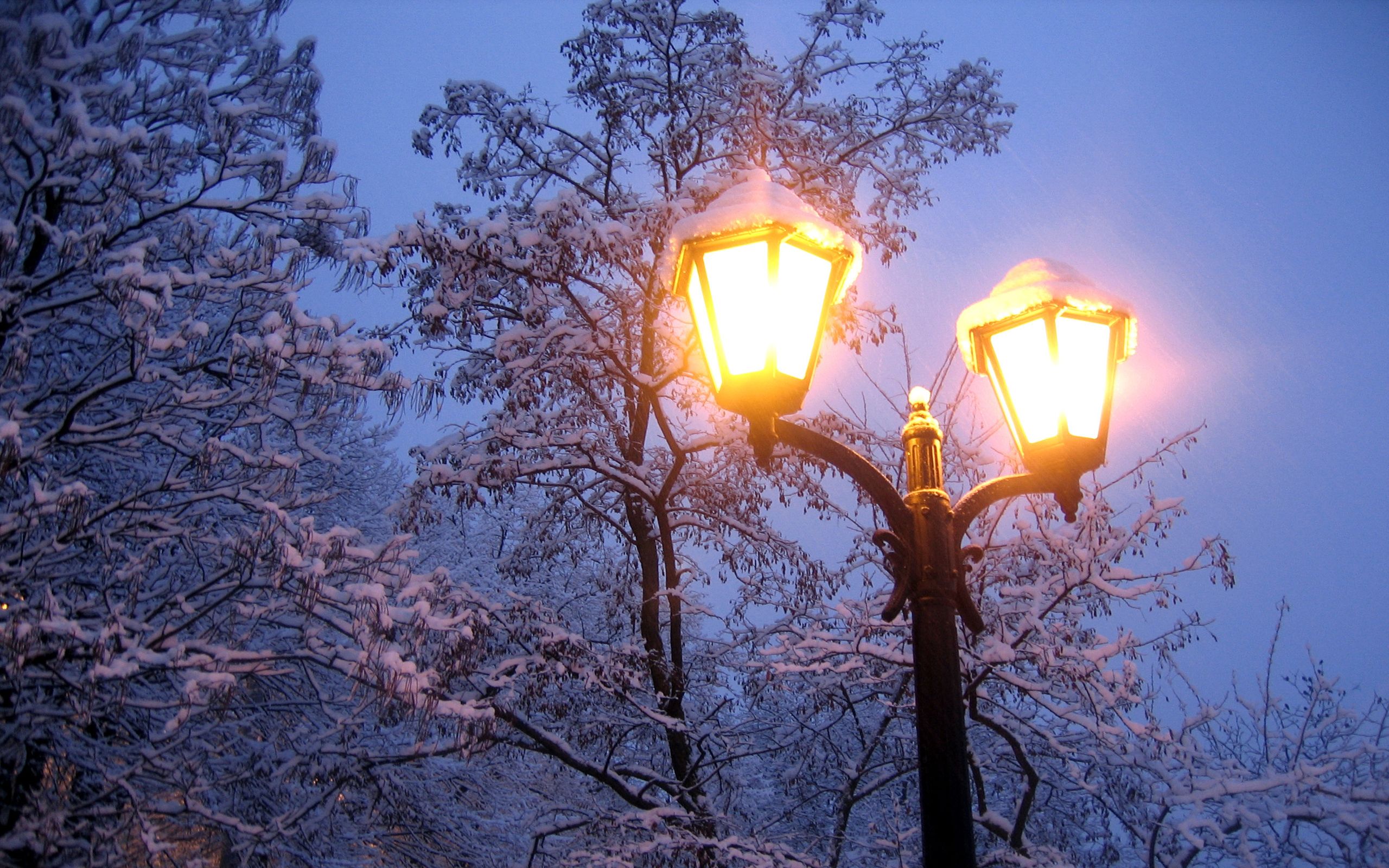 2560x1600 Phone wallpaper: Man Made, Lamp Post 571554
