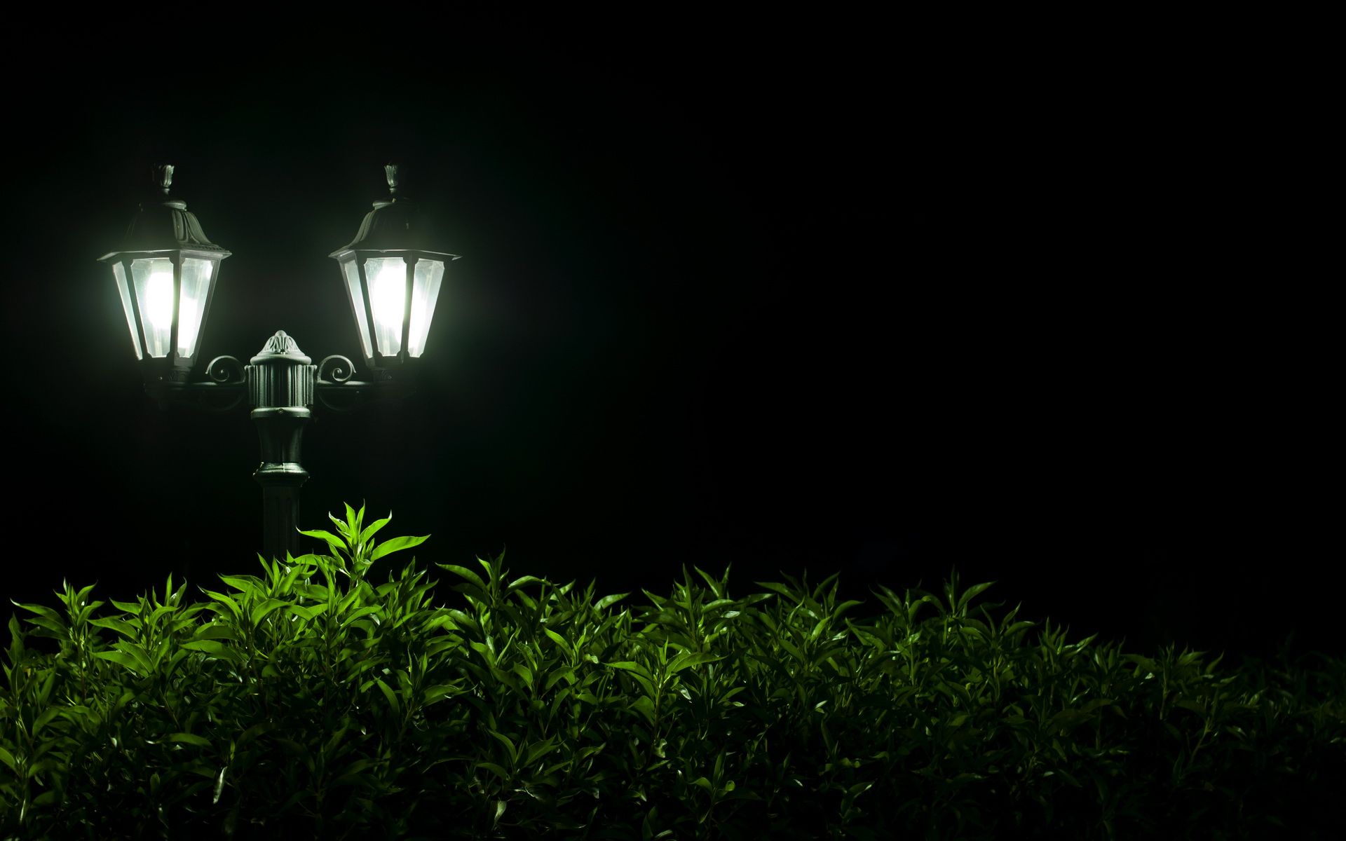 1920x1200 Radiant Lamp Post Glow: HD Man Made Nightscapex1200